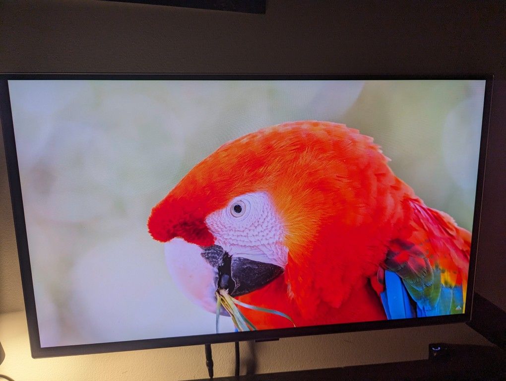 OLED 1440p 360hz - Samsung Odyssey G60SD *NO STAND*