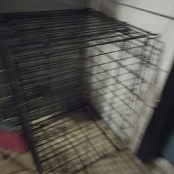 Dog Gate 