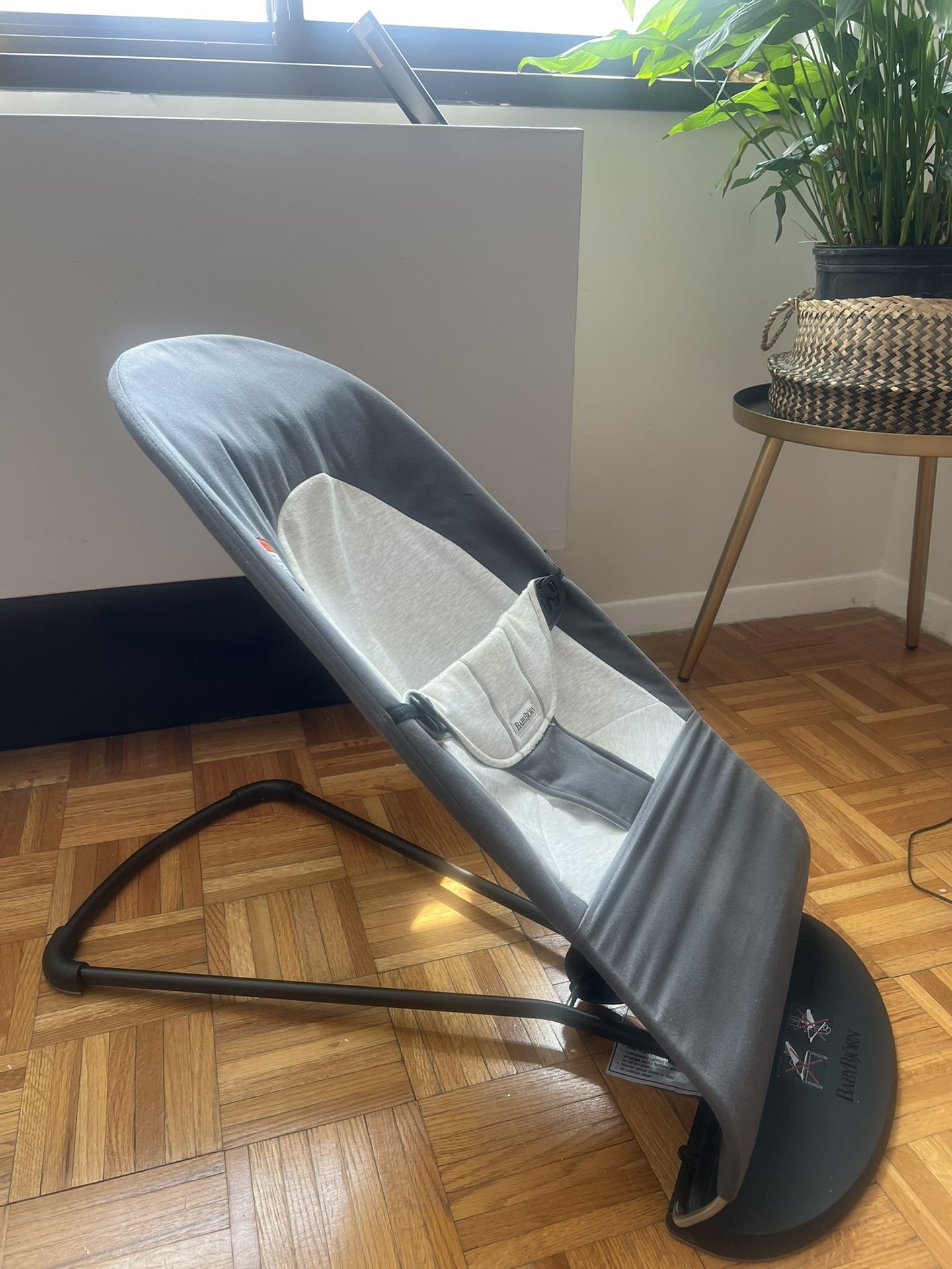 Baby Bouncer