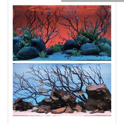 Serene background light kit