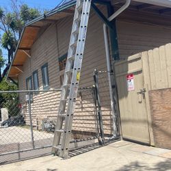 Ladder 🪜 24-Foot High 