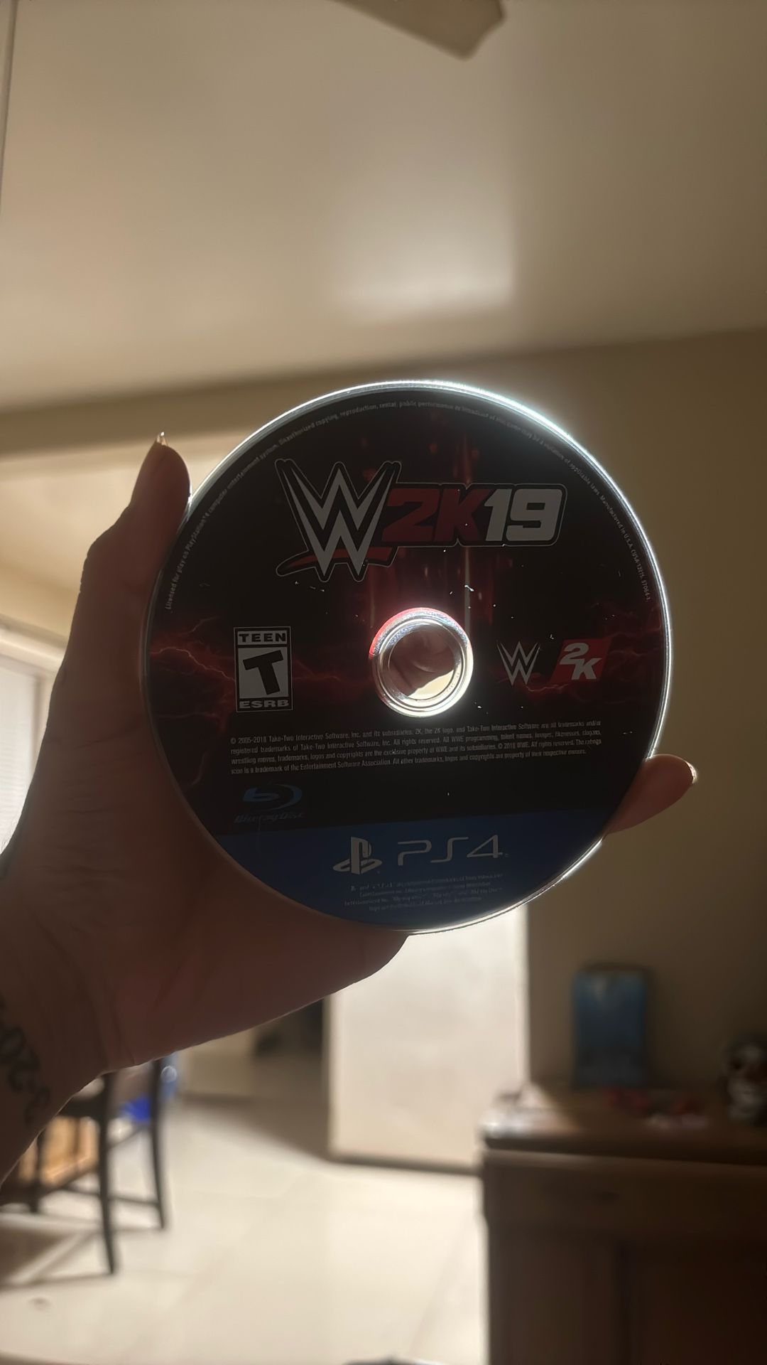 WWE 2k19 game
