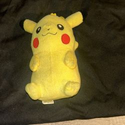 Pokemon Coin Purse