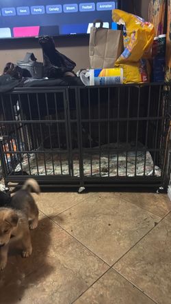 Dog crate for GSD PUPS