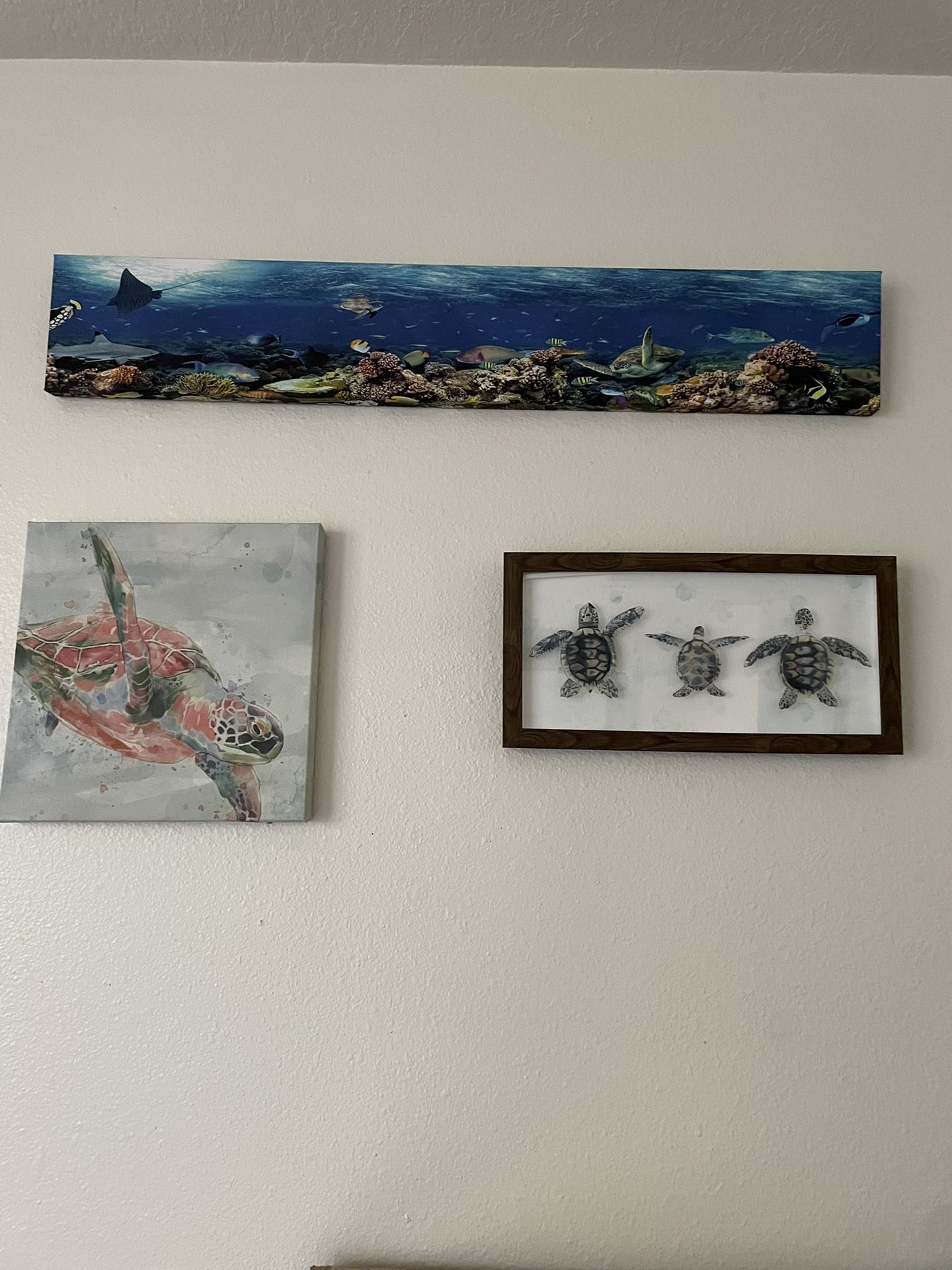Sea Decor