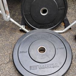 PAIR  OF  35  LB.  OLYMPIC  BUMPER  PLATES