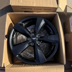 Mustang Gt Black Accent Wheels