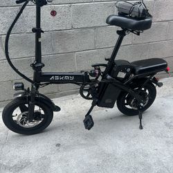 Electric Bike 