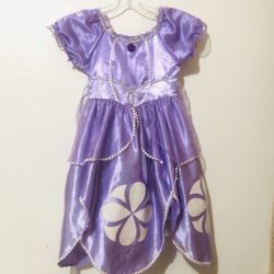Kids Size Small Princes Dress