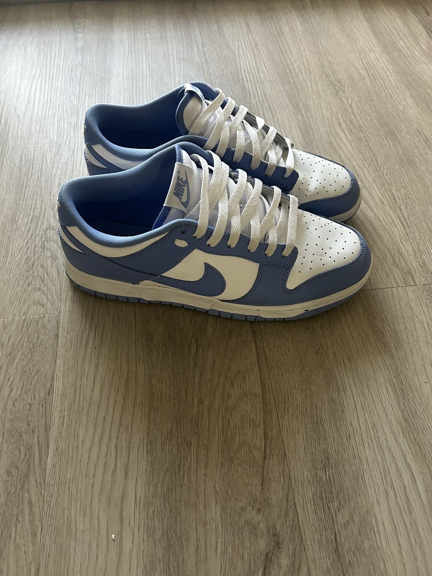 Nike Dunks Polar Blue (WITH BOX) 9.5