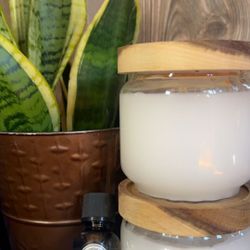 Eucalyptus Candles 