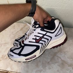 Nike Air Pegasus 2005