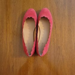 JCrew Ballet Flat Shoe