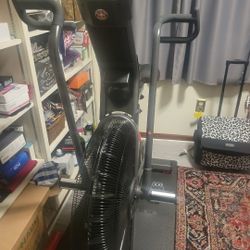 Schwinn Airdyne Stationary Bike