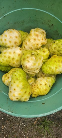 Noni Fruits $5 Per Pound