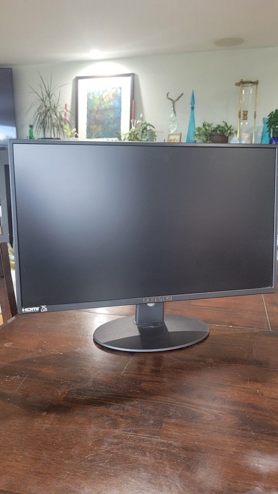 Sceptre 24" Gaming Monitor