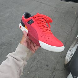 Pumas