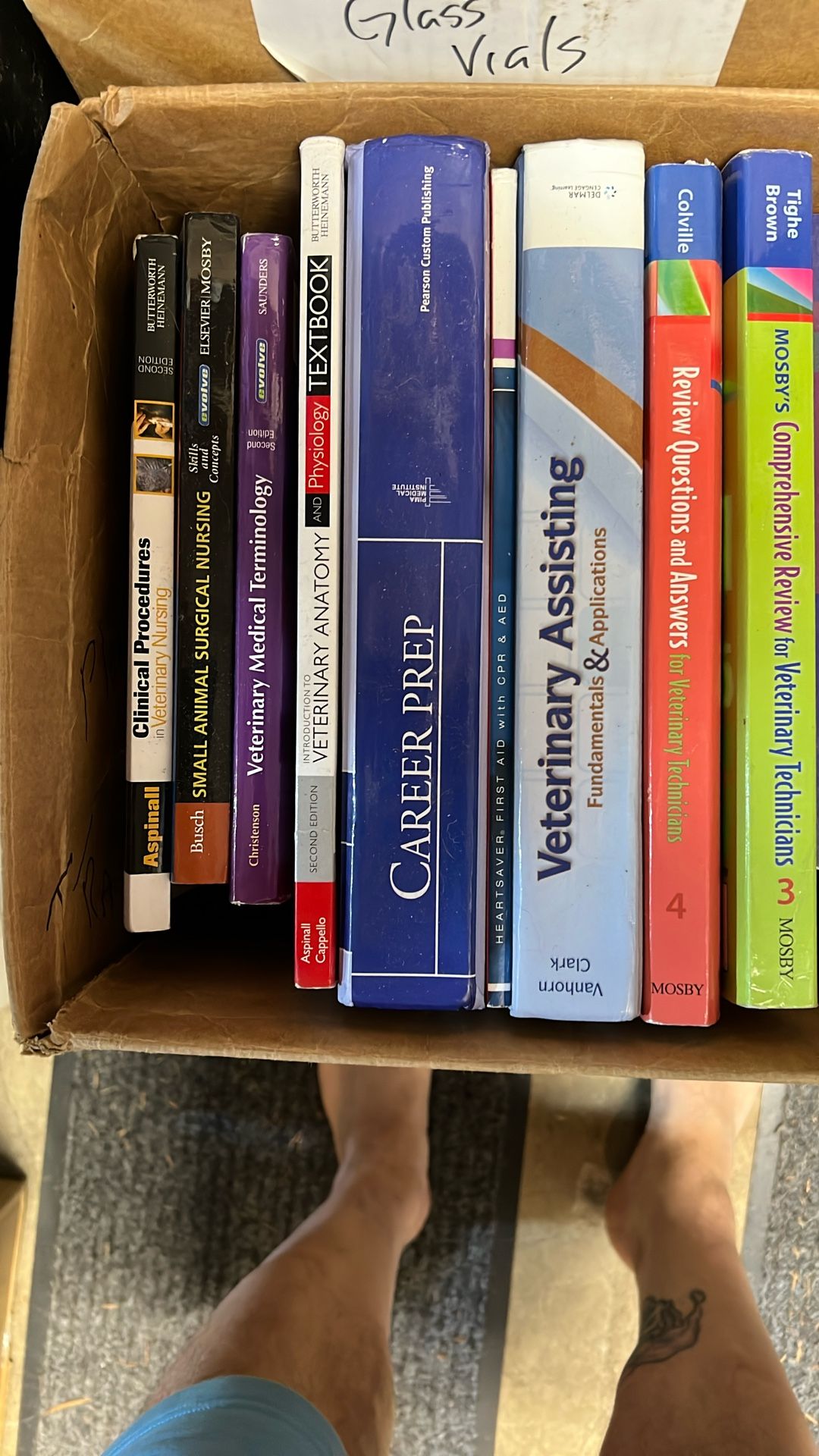 Veterinary Technician And Small Animal Textbooks