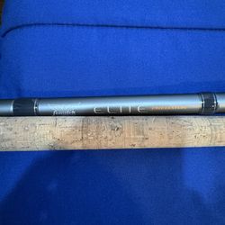 Fenwick Predator Casting Rod