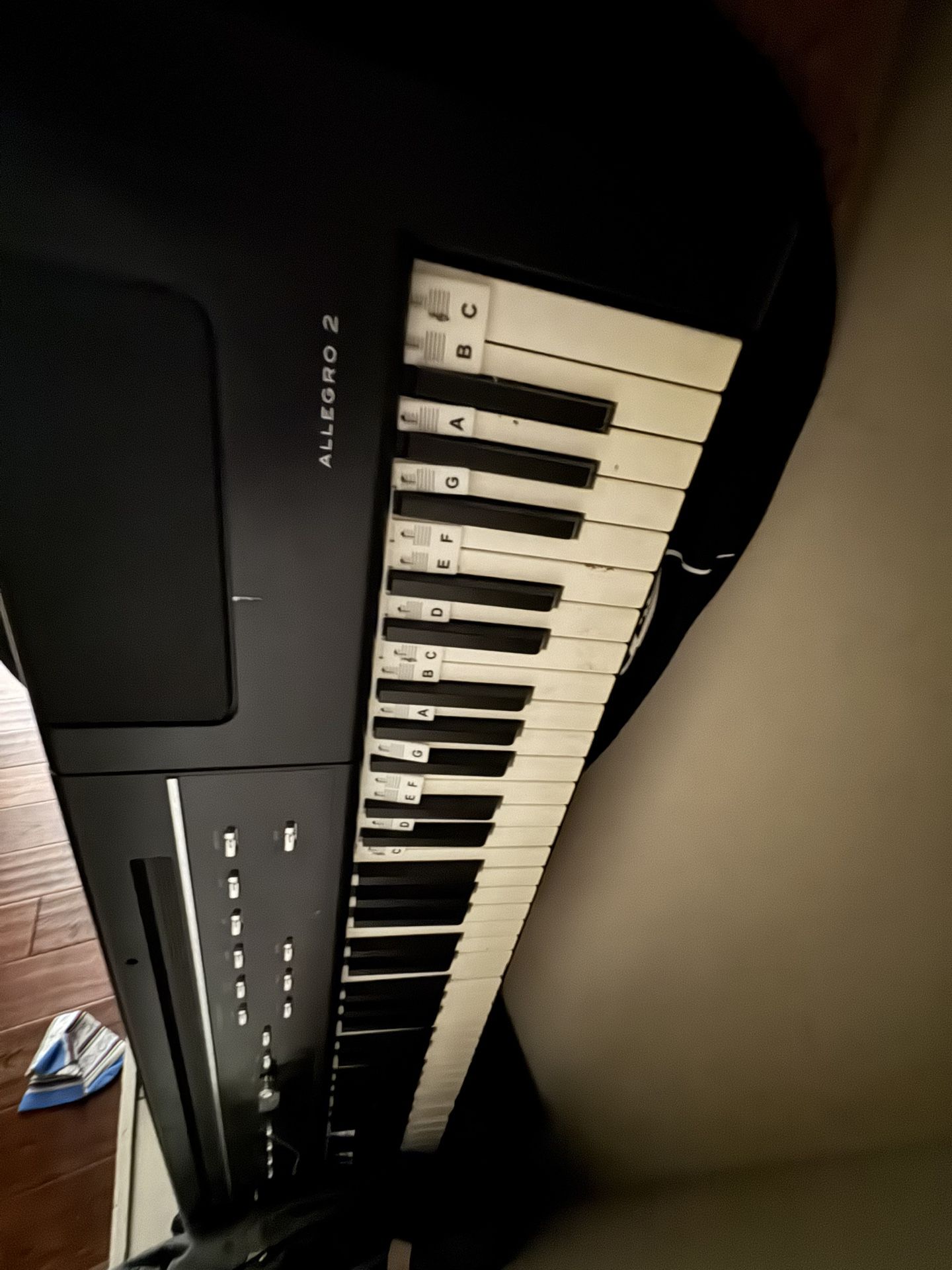 Semi-weighted Williams Digital Piano (keyboard) 