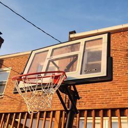 (FREE) Lifetime 50” All Star Portable Basketball Hoop
