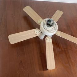 Cieling Fan 