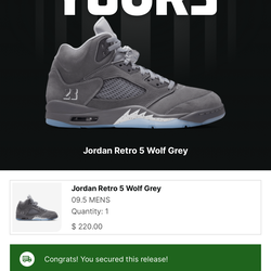 Jordan 5 Wolf Grey