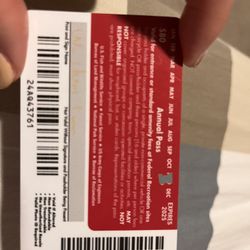 American Beauty Annual Pass