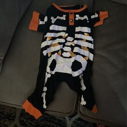 Halloween Dog Costume 