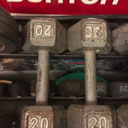 20 lb Dumbbells Iron Hex Steel Pair 