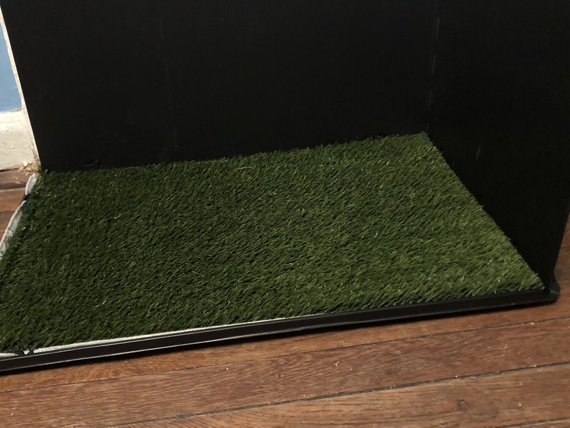 Indoor Turf Dog Potty