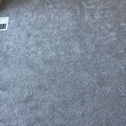 Carpet