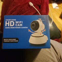 Home Camera Monitor 