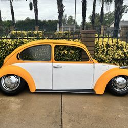 VW Bug Yard/wall Art