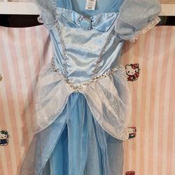 Halloween Costume Cinderella 