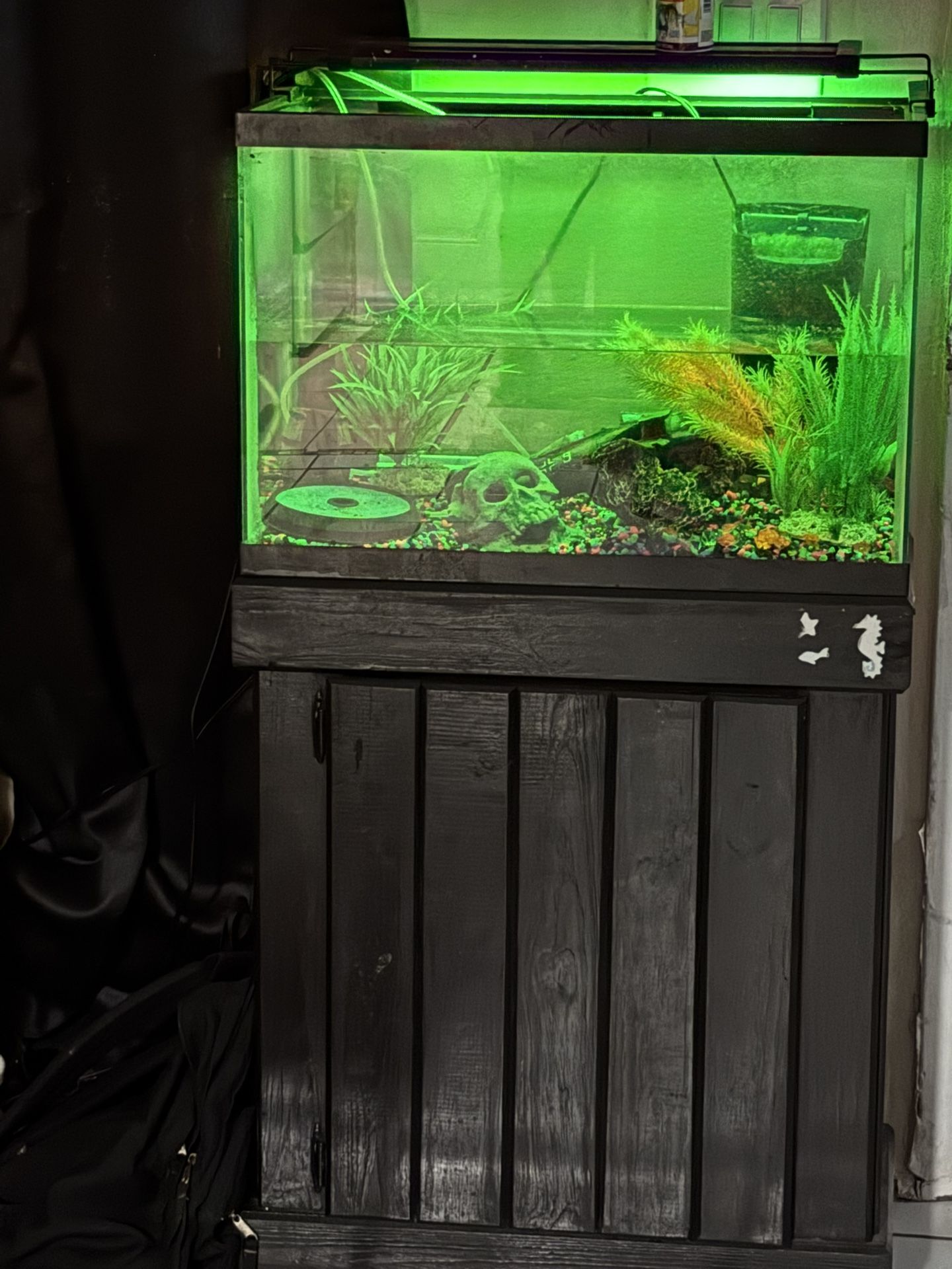 Fish Tank