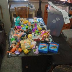 Cat Toys And Food Hamper