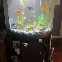 30 Gallon half circle Fish Tank
