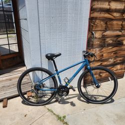 2025 S - REI CO-OP CTY 1.1 Step Through 
