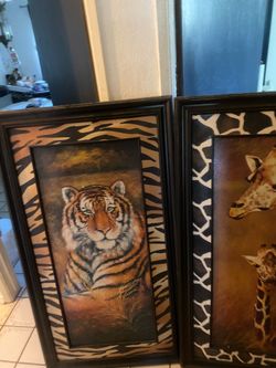Good condition, tiger and giraffe selling them together there they are 54” x 30” selling both for $50