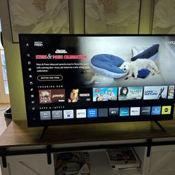 Tv Vizio 65”