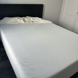 Queen Bed Frame + Zinus 12inch Mattress 