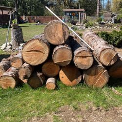 Logs For Milling