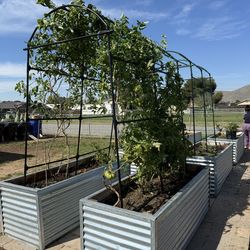 Garden Trellis for Climbing Plants, Metal Plant Support with Trellis Netting, Outdoor Cucumber