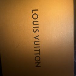 Loui Vuitton Trainers