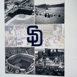 San Diego Padres Book