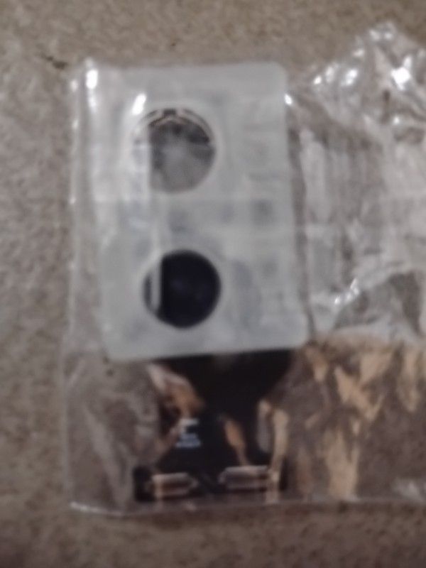 iPhone 11 Pro Rear Camera