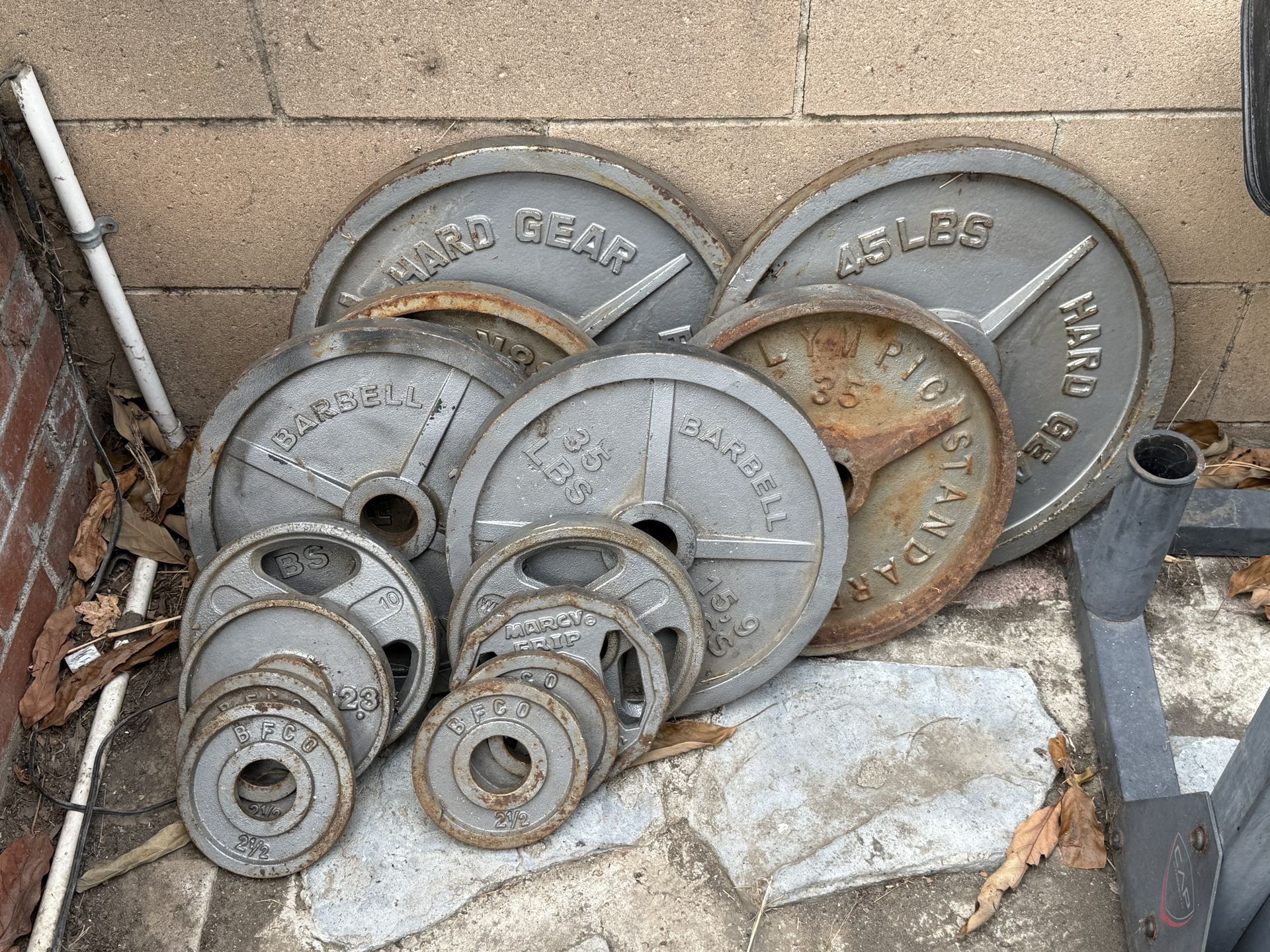 Workout Weights