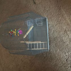 Bird Cage 