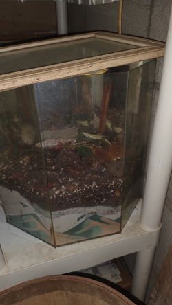 Small Fish Tank